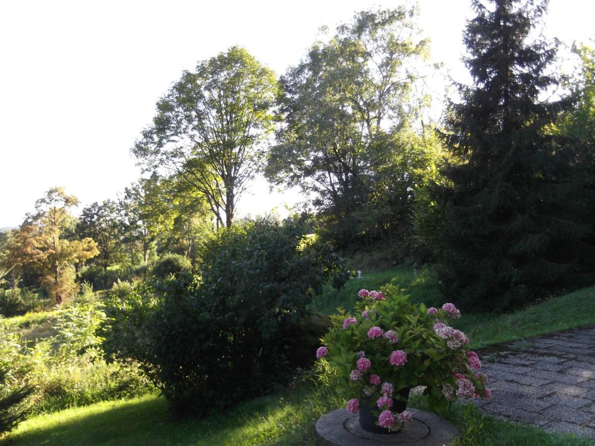 Apartmán Fewo 4 Am Rechensoldenweg 29 Bodenmais Exteriér fotografie